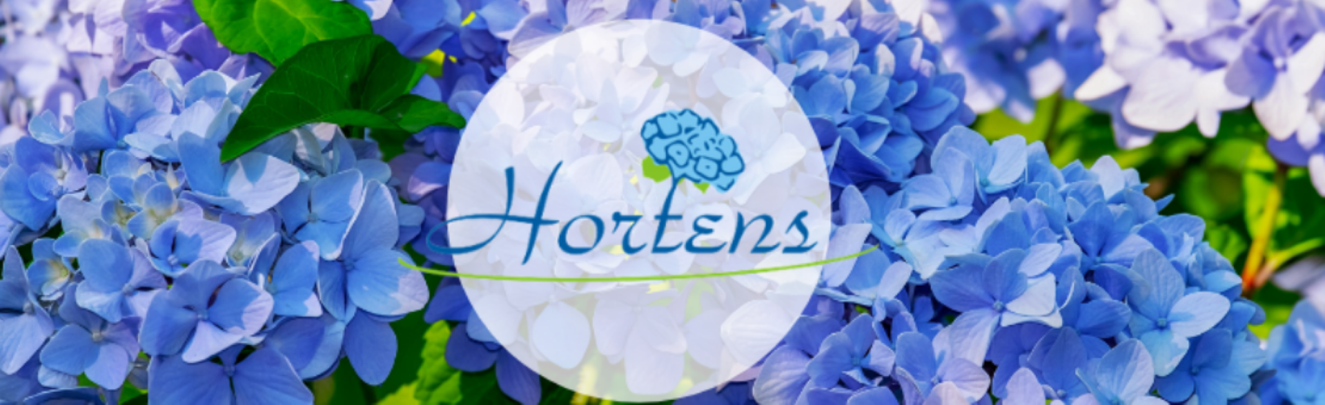 fabricant de bougies grossistes en fleurs artificielles figures de gypse Pologne
